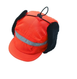 Afbeelding voor categorie Caps