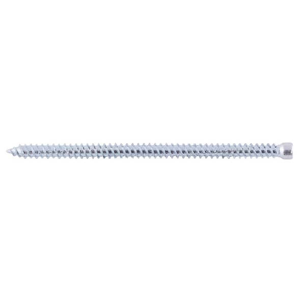 Afbeeldingen van Fischer Kozijnschroef cilinderkop FFSZ TX30 7,5 x 8